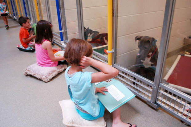ShelterReading1