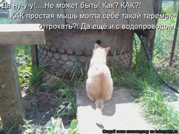 normal_foto_74_20100627_1388071767 (639x479, 77Kb)