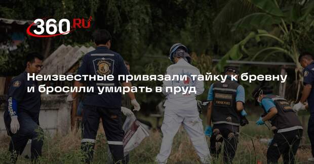 Неизвестные привязали тайку к бревну и бросили умирать в пруд