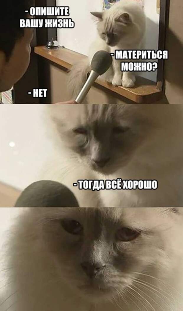 Подборка прикольных картинок (23 фото)