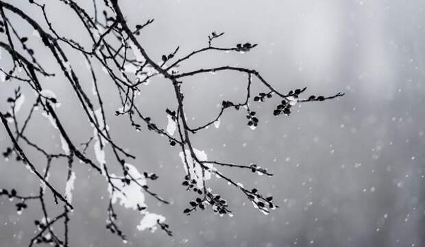 Синоптик Позднякова: Похолодание до минус 9 градусов придет в столице на следующей неделе