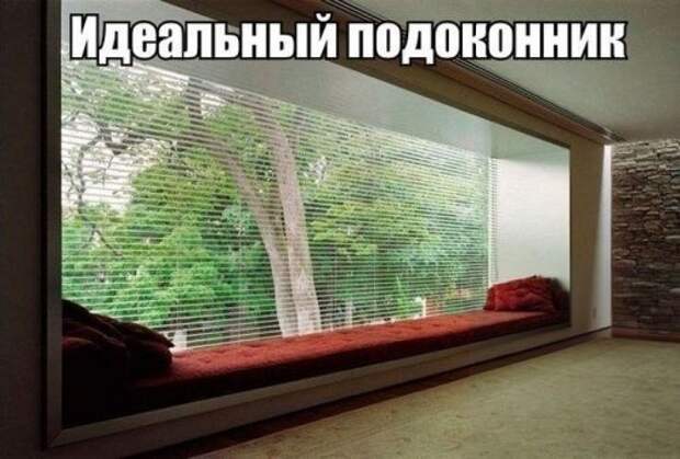 Свежие прикольные картинки (48 шт)