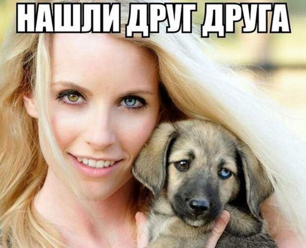 Прикольные фото радуют глаз