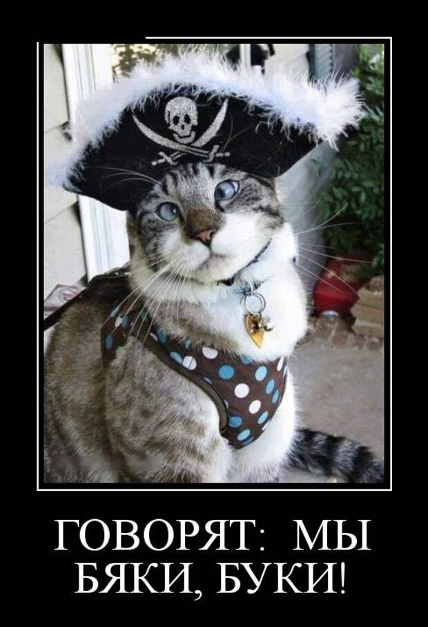 Демотиваторы