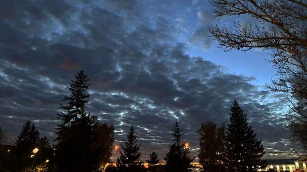 Такой день. Новогодняя елка возле ТЦ "Галактика" и депутат АКЗС в СИЗО