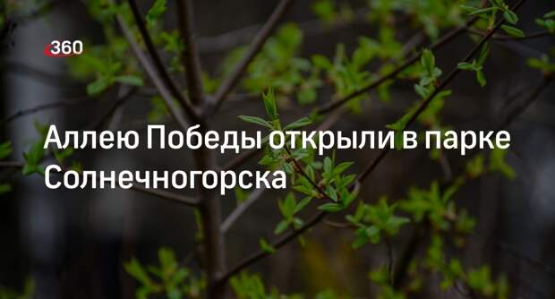 Аллею Победы открыли в парке Солнечногорска