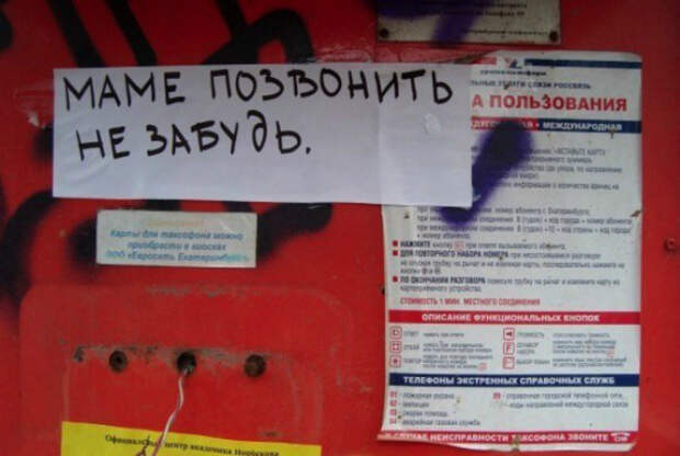 Дельный совет. Дельный совет.