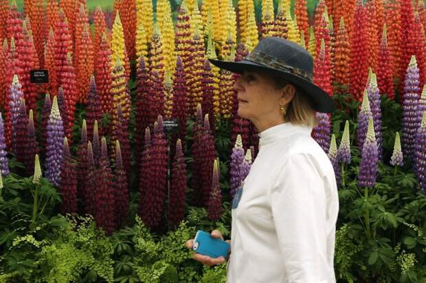 Выставка цветов «Chelsea Flower Show 2014»