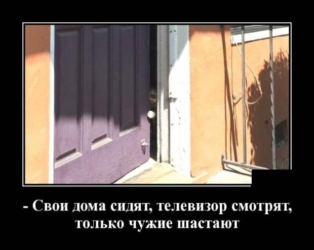 Демотиваторы (30 фото)