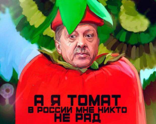 Друзья подкинули России турецких помидоров