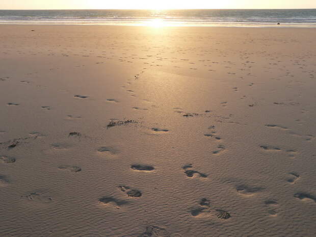 Пляж Кейбл Бич (Cable Beach). Австралия