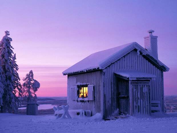 frozen14 Самые красивые фотографии морозной зимы