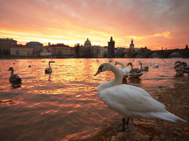 Лучшие фото National Geographic