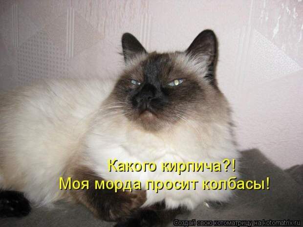 Мысли вслух :)