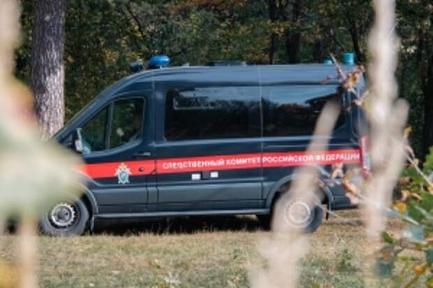 В центральный аппарат СК России будет представлен доклад по информации о нападении собаки на малолетнего в Иркутской области