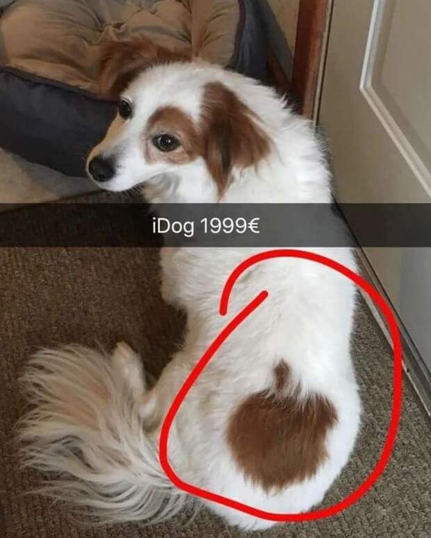 Лого Лого