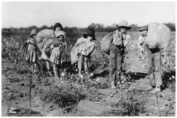 Дети-рабы на плантациях хлопка, США детали, интересное, исторические, удивительное, фотографии