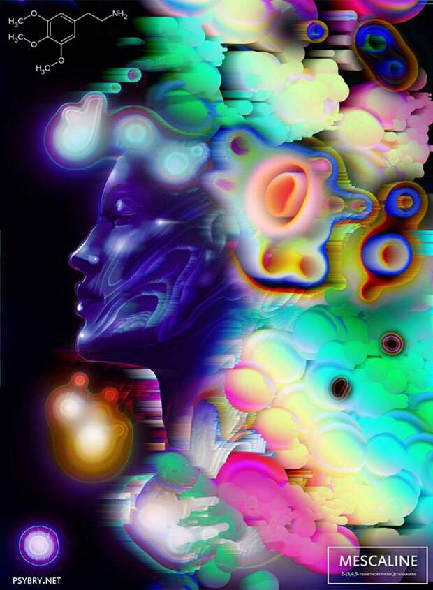 Художник принял 20 разных наркотиков, чтобы продемонстрировать воздействие препаратов на мозг человека
