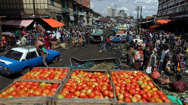 Spiegel: эксперты МВФ предупреждают об угрозе беспрецедентного голода и дальнейшем росте цен на продукты