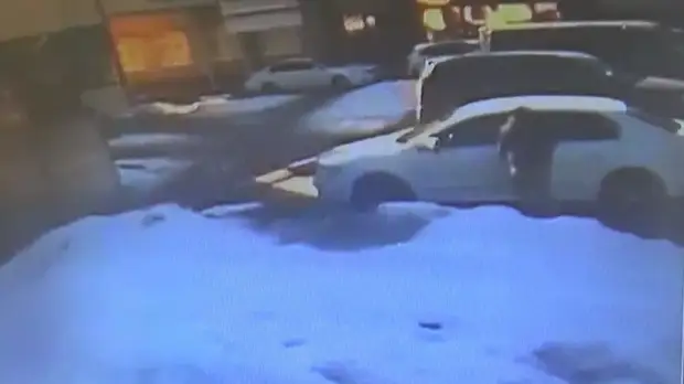 Задержан мужчина, укравший 200 тысяч рублей из автомобиля. Видео