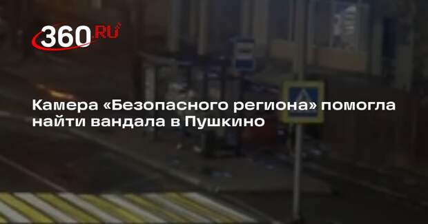Камера «Безопасного региона» помогла найти вандала в Пушкино