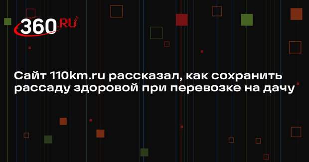 Сайт 110km.ru рассказал, как сохранить рассаду здоровой при перевозке на дачу