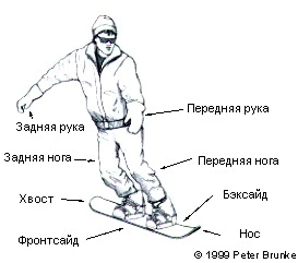 Как правильно сноуборд. Правильная стойка сноубордиста. Техника сноуборда для начинающих. Правильная стойка на сноуборде. Стойка для новичков на сноуборде.