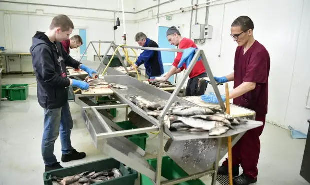 Ямальская артель «Орион» запускает цех полуфабрикатов