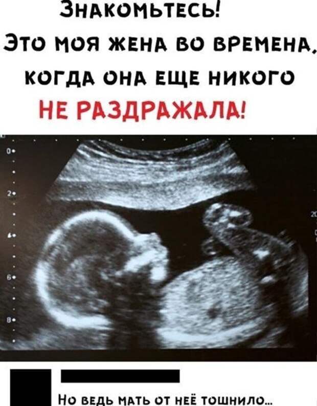 Комментарии и картинки из соцсетей