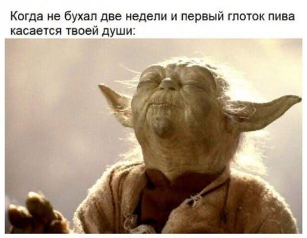 Алкопост Алкопост