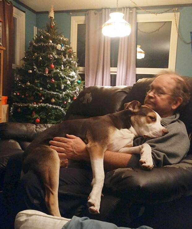 papa9