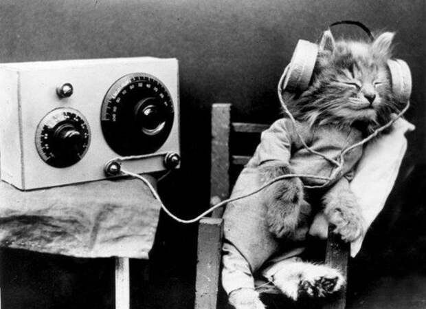 Споры о том, кто был изобретателем радио, ведутся и сегодня.