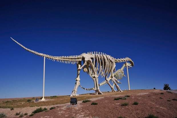 KissingDinosaurs06 KissingDinosaurs06 Целующиеся динозавры Эрэн Хото в Китае