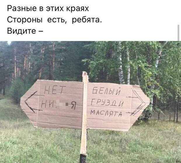 стих про грибы