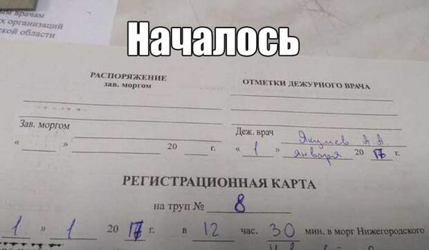 Прикольные картинки (51 фото)