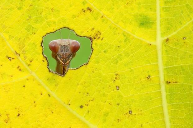 Объявлены победители конкурса Siena International Photo Awards 2019