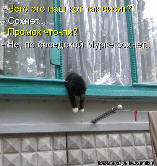 Котоматрица: - Чего это наш кот так висит? - Сохнет... - Промок что-ли? - Не, по соседской Мурке сохнет...