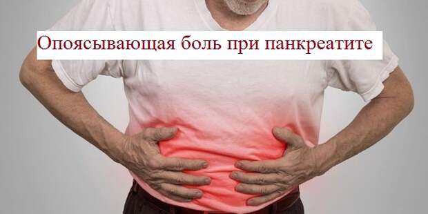 Функции печени и поджелудочной железы. Роль печени и поджелудочной железы в пищеварении