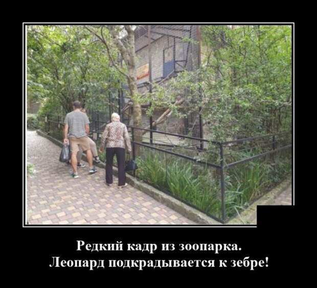 Демотиватор про зоопарк