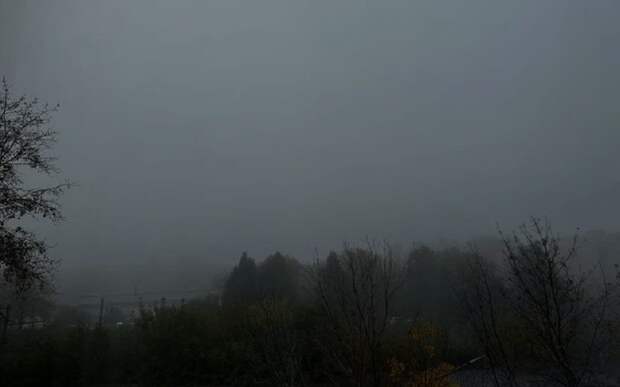 Жителям Рязанской области предстоит туманная ночь
