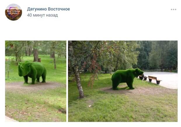 Фото дня: носорог и медведь замечены в парке «Северные Дубки»