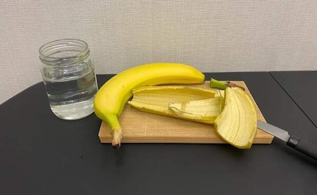 Банановая кожура не только для подкормки растений, но и для протирания листьев: зачем и что даст такая процедура?