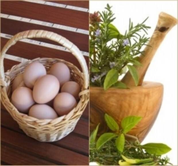 Народные рецепты при псориазе