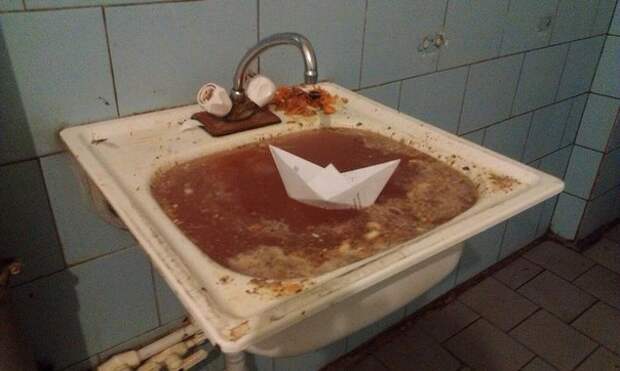 Приколы
