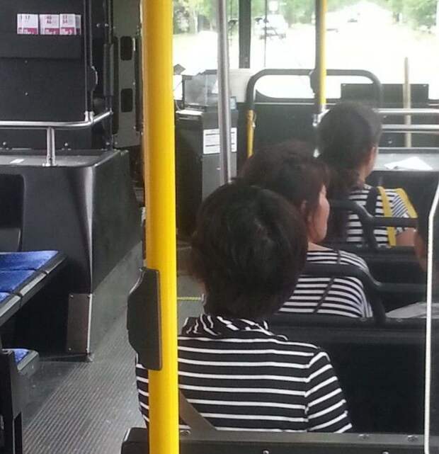 Copy + Past или сбой в матрице Copy Past или сбой в матрице