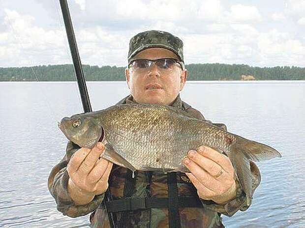 Удачного клева. Рыбалка в калязине 2022. Рыбалка в калязине на волге с берега места. Калязин рыбалка. Прогноз клева в калязине.