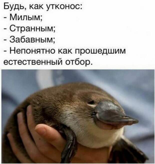 Так себе картинки