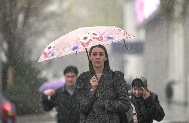 Москвичам назвали срок прекращения дождей