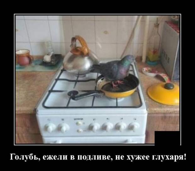 Демотиваторы (20 фото)