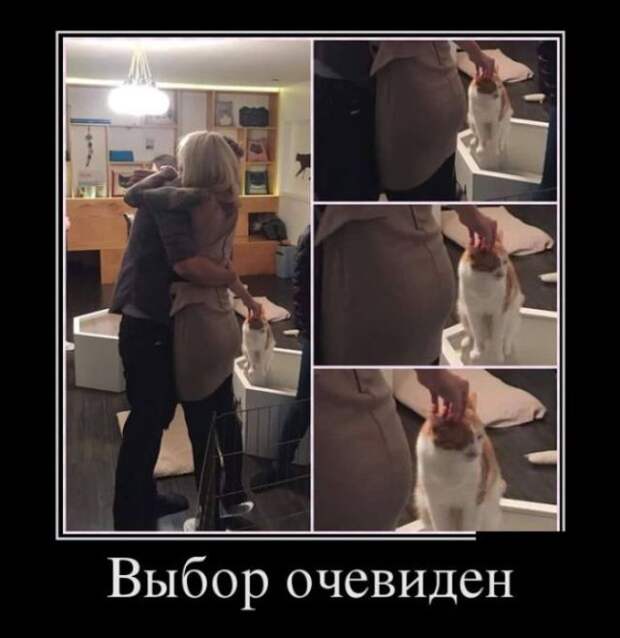 Демотиваторы (30 фото)